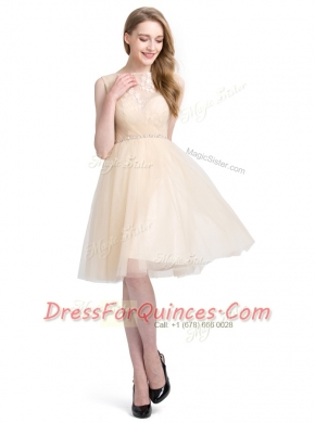 Perfect A-line Champagne Bateau Tulle Sleeveless Knee Length Clasp Handle
