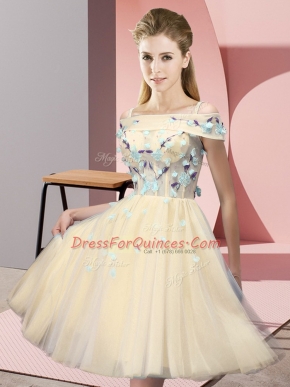 Excellent Knee Length Gold Dama Dress Tulle Short Sleeves Appliques