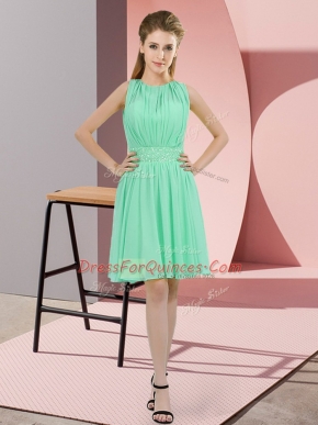 Knee Length Empire Sleeveless Apple Green Dama Dress Zipper