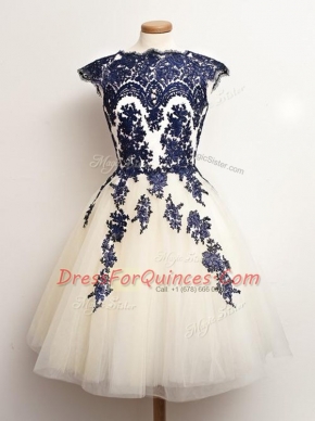 Adorable Blue And White Sleeveless Mini Length Appliques Lace Up Court Dresses for Sweet 16