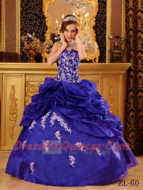 Organza Appliques Strapless Ball Gown Dress in Blue with Pick Ups