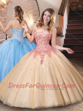 Classical Big Puffy Champagne Quinceanera Dress with Appliques and Beading