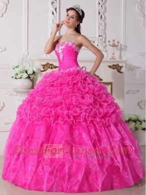 Discount Pink Ball Gown Strapless Organza Embroidery with Beading For New Styles Quinceanera Dress