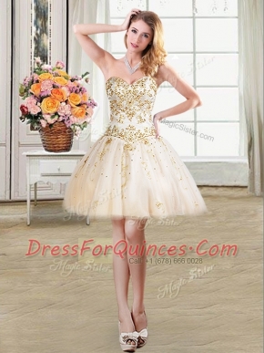 Champagne Tulle Lace Up Prom Dresses Sleeveless Mini Length Beading