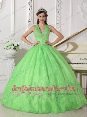 Spring Green Ball Gown Halter Floor-length Taffeta and Organza Appliques Quinceanera Dress
