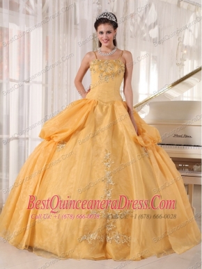 Gold Ball Gown Spaghetti  Straps Floor-length Taffeta and Organza Appliques Quinceanera Dress