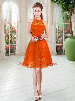 Flare Rust Red Zipper Dress for Prom Lace Sleeveless Knee Length
