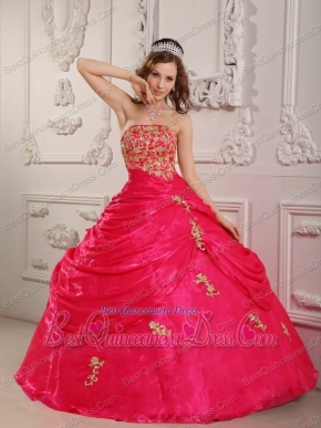 Hot Pink Ball Gown Strapless Floor-length Organza Appliques Quinceanera Dress