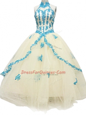 Modest Sleeveless Lace Up Floor Length Lace and Appliques Prom Evening Gown