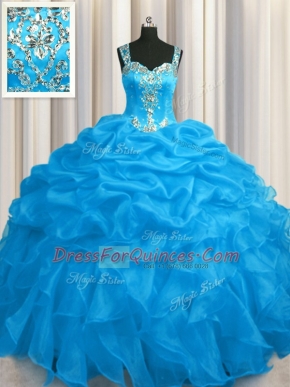 See Through Zipper Up Blue Organza Zipper Quinceanera Dress Sleeveless Floor Length Appliques and Ruffles