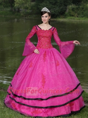 Quinceanera Dress The Most Popular Long Sleeves Appliques Decorate Fushsia With V-neck