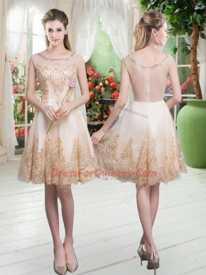 Sleeveless Knee Length Beading and Appliques Zipper Homecoming Dress with Champagne