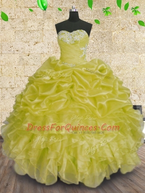 Sleeveless Lace Up Floor Length Beading and Appliques and Ruffles and Ruching Quinceanera Dresses