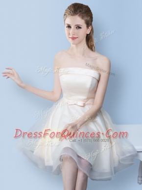 White Sleeveless Bowknot Knee Length Dama Dress