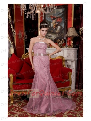 Prom / Evening Dress Light Pink Mermaid Strapless Brush Train Organza Beading