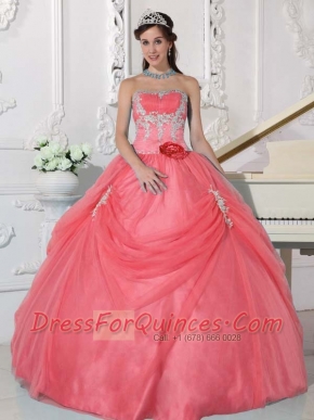 New Styles Watermelon Ball Gown With  Appliques and Hand Made Flower Quinceanera Dress