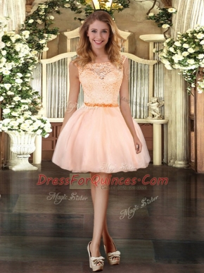 Exquisite Peach Organza Zipper Scoop Sleeveless Mini Length Prom Gown Lace