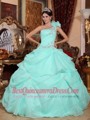Apple Green Ball Gown One Shoulder Floor-length Organza Appliques Quinceanera Dress