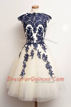 Noble A-line Prom Dresses Blue And White Scalloped Tulle Cap Sleeves Knee Length Zipper