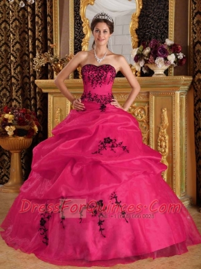 Coral Red Ball Gown Sweetheart  Pretty Quinceanera Dresses Satin and Organza Embroidery