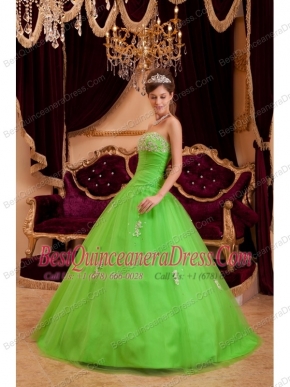 Green A-line / Princess Strapless Floor-length Appliques Tulle Quinceanera Dress