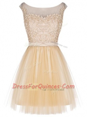Champagne Tulle Zipper Sleeveless Mini Length Lace
