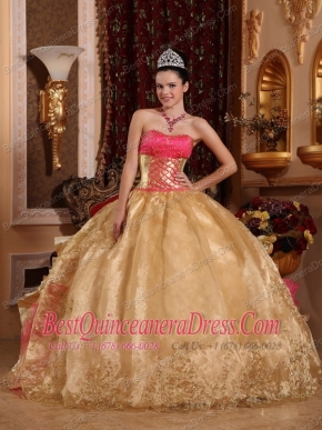 Gold Ball Gown Strapless Floor-length Organza Embroidery Quinceanera Dress
