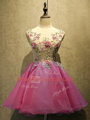 Lovely Mini Length Hot Pink Organza Sleeveless Embroidery