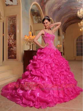 New Styles Hot Pink Ball Gown With Spaghetti Straps And Organza Embroidery Quinceanera Dress