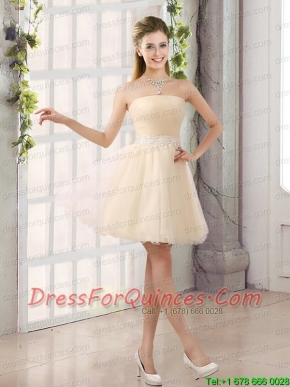 2015 Appliques Strapless A Line Mini Length Prom Dress