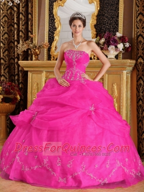 Strapless Hot Pink Organza Appliques Ball Gown Best Quinceanera Dresses 2014