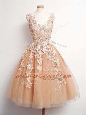 Champagne Lace Up V-neck Lace Quinceanera Dama Dress Tulle Sleeveless