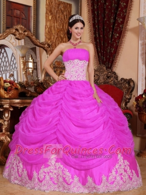 Pretty Hot Pink Ball Gown Strapless  Organza Beading Quinceanera Dress