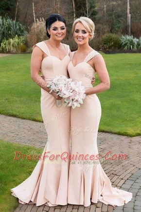 Mermaid Pink Straps Neckline Ruching Sleeveless Zipper