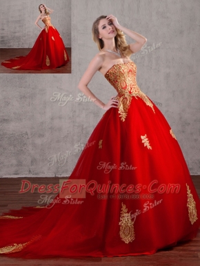 Affordable Tulle Sleeveless With Train Ball Gown Prom Dress Court Train and Appliques