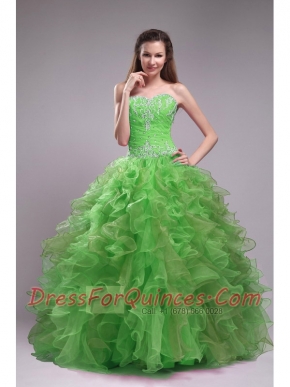 Spring Green Ball Gown Sweetheart Quinceanera Dress with  Orangza Appliques