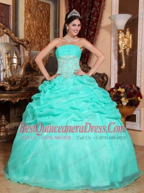 Turquoise Ball Gown Strapless Floor-length Organza Appliques  Quinceanera Dress