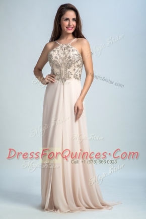 Pink Spaghetti Straps Backless Sequins Prom Evening Gown Sleeveless