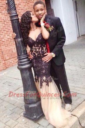 Top Selling Mermaid Sleeveless Lace Up Floor Length Lace Prom Gown