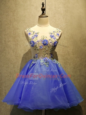 Scoop Sleeveless Organza Prom Party Dress Embroidery Lace Up