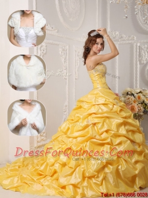 Pretty Court Train Quinceanera Gowns with Pick Ups and Appliques