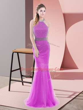Adorable Sleeveless Brush Train Backless Beading Evening Dress