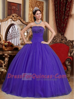 Purple Beading and Sequins Strapless Tulle Appliques with Beading Ball Gown Dress