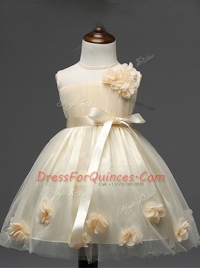 Scoop Sleeveless Zipper Flower Girl Dress Champagne Tulle