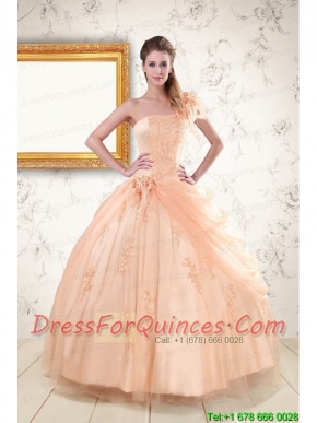 2015 Pretty One Shoulder Appliques Quinceanera Dress in Peach