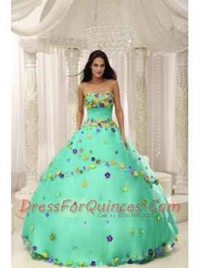 Apple Green Ball Gown 2013 Quinceanera Dresses For Custom Made Appliques Decorate Bodice