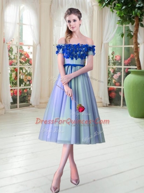 Stunning Off The Shoulder Sleeveless Lace Up Evening Dress Blue Tulle