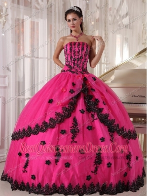 Hot Pink Ball Gown Strapless Floor-length Appliques Quinceanera Dress