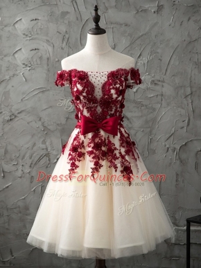 Champagne Lace Up Quinceanera Court Dresses Appliques and Bowknot Sleeveless Knee Length