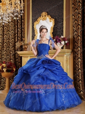 Blue Ball Gown Spaghetti Straps Floor-length Organza Appliques Quinceanera Dress